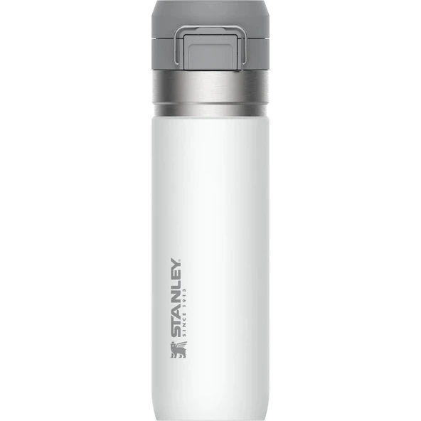 Stanley Go Quick Flip Water Bottle | 0.70L - Resim 5