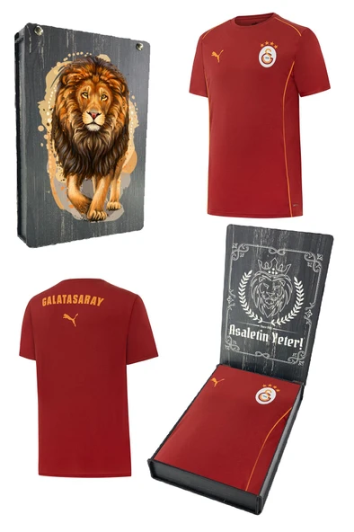 Galatasaray Orijinal Lisanslı 2024/25 Kırmızı Antrenman T-Shirt Gs Aslan Baskılı Hediyelik Ahşap Kutulu ürün görseli 1