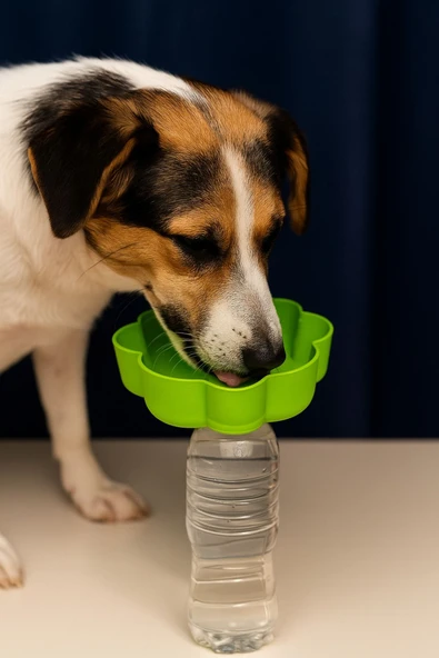 Açık Hava Evcil Hayvan Su Kabı - Köpekler Ve Kediler İçin ürün görseli 1