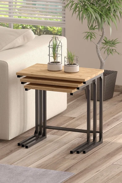 TOLIAHOME 3lü Zigon Sehpa Metal Zigon Sehpa C Sehpa ürün görseli 1