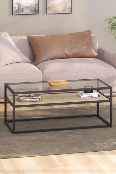 TOLIAHOME Modern Endülüs Siyah Renk Metal Iskeletli Temper Camlı 2 Katlı Dikdörtgen Orta Sehpa ürün görseli 1