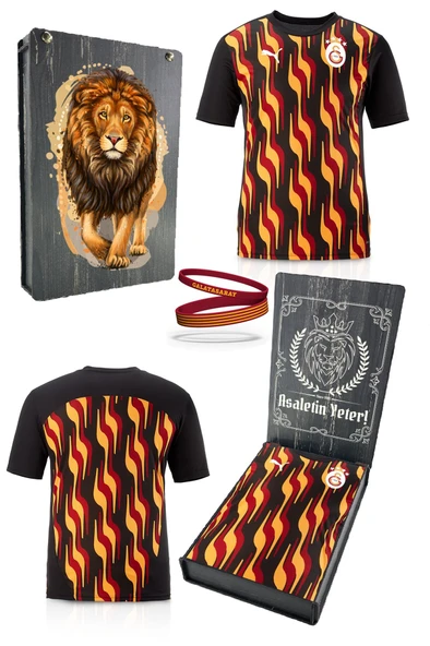 Galatasaray Orijinal Lisanslı Sıfır Yaka Siyah Antrenman T-Shirt + Bileklik Set Hediyelik Ahşap Kutulu ürün görseli 1