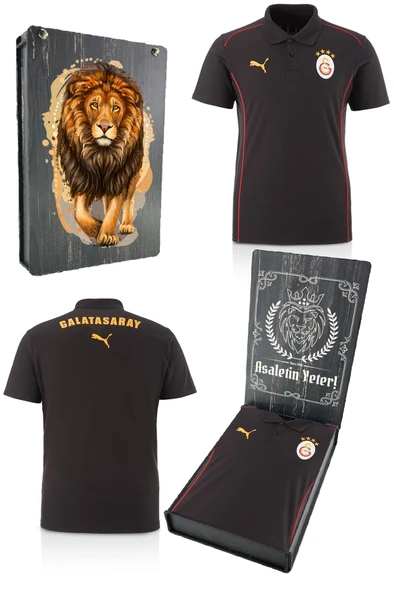 Galatasaray Orijinal Lisanslı Polo Yaka Siyah Antrenman T-Shirt Gs Aslan Baskılı Hediyelik Ahşap Kutulu ürün görseli 1