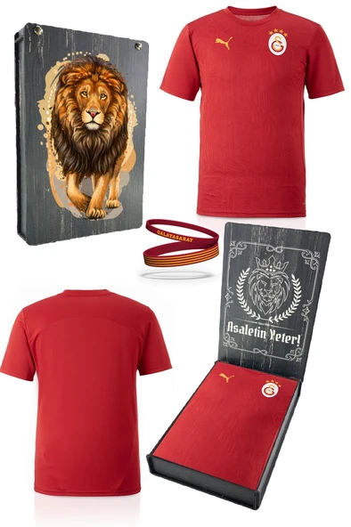 Galatasaray Orijinal Lisanslı Sıfır Yaka Kırmızı A Takım Antrenman T-Shirt + Bileklik Set Hediyelik Ahşap Kutulu ürün görseli 1