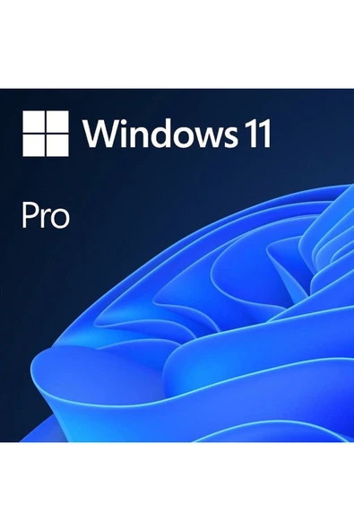 MICROSOFT Ms Wındows 11 Pro 64bit Dijital Teslim Faturalı Garantili ürün görseli 1