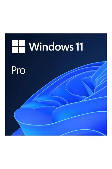 MICROSOFT MS WINDOWS 11 PRO 32/64BIT TURKCE-INGILIZCE ELEKTRONIK LISANS FQC-10572 ürün görseli 1