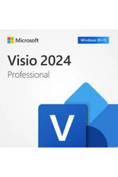 MICROSOFT MİCROSOFT VİSİO PRO 2024 - ESD EP2-07110 ürün görseli 1