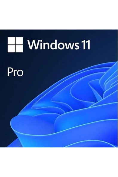 MICROSOFT Ms Wındows 11 Pro Tr - Orijinal - Aktarılabilir ürün görseli 1