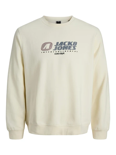 JACK JONES Yazı Baskılı Erkek Sweatshirt 12282791 ürün görseli 1