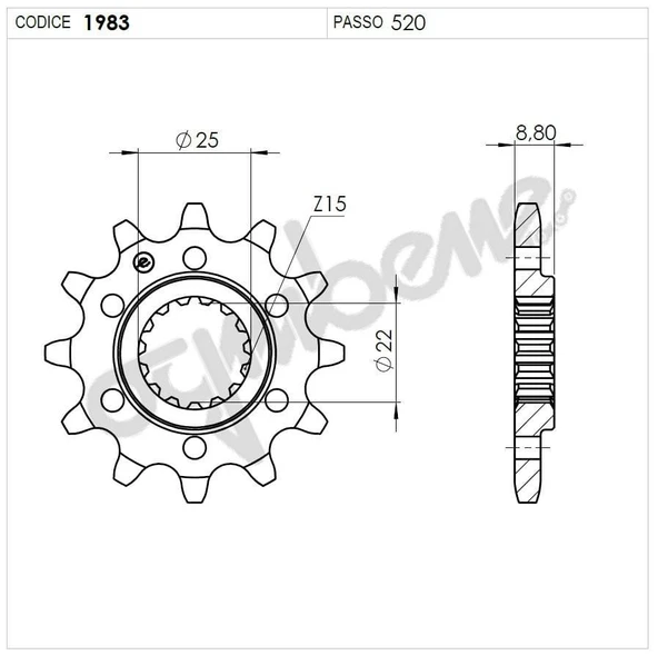 KTM 250 OGNIBENE ÖN DİŞLİ 12T ürün görseli 1