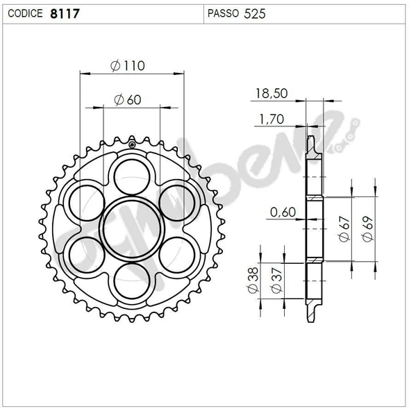 DUCATI 1098 07 525 OGNIBENE ARKA DİŞLİ 40T ürün görseli 1
