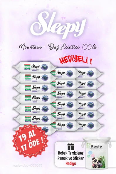 100'lü Sleepy Mountain 19 AL 17 ÖDE Dağ Esintisi Islak Havlusu ve ROSIE ürün görseli 1