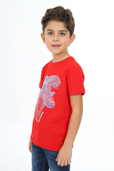 Toontoy Erkek Çocuk Baskılı Tişört - Resim 6