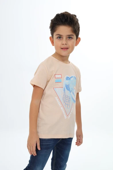 Toontoy Erkek Çocuk Baskılı Tişört - Resim 8