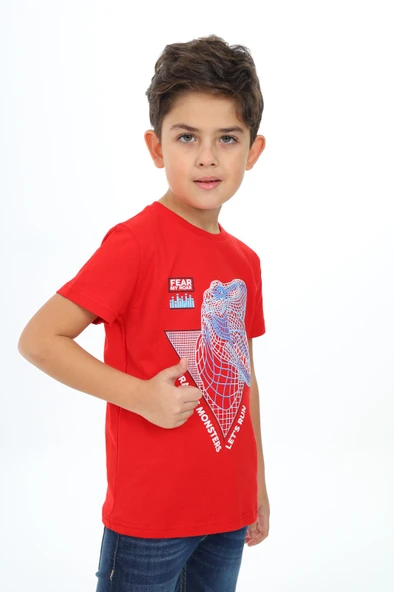 Toontoy Erkek Çocuk Baskılı Tişört - Resim 3