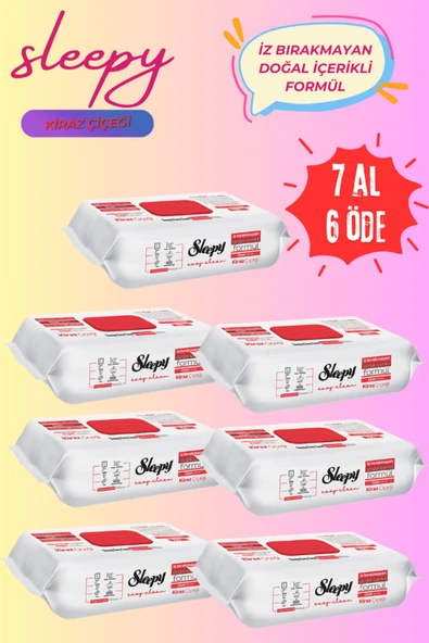 Sleepy Easy Clean Kiraz Çiçeği Yüzey Temizlik Havlusu, 100 Yaprak 7 Al 6 Öde ürün görseli 1