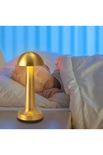 Premium Ticaret Dekoratif LED Masa Lambası Gold Renk | USB Şarjlı | 3 Renk Dokunmatik Mod ürün görseli 1