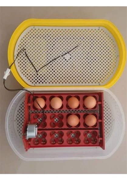 Efe Kuluçka Makineleri 48 Bıldırcın Yumurtası Kuluçka Makinesi ürün görseli 1