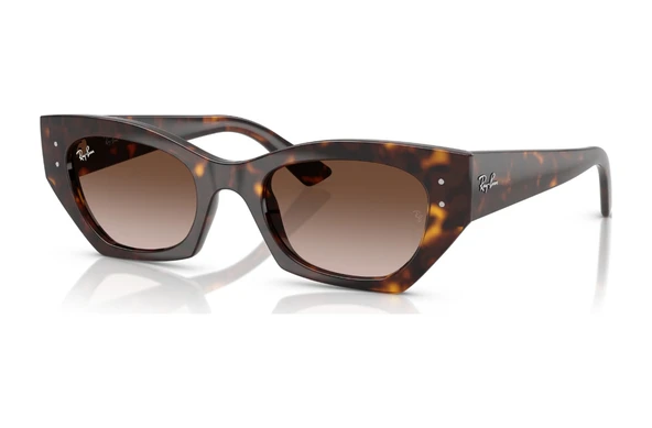 Ray-ban Rb 4430 135913 52 Erkek Zena Güneş Gözlüğü Siyah ürün görseli 1