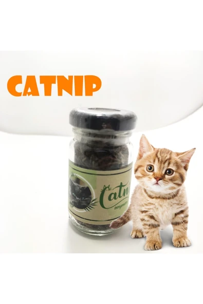 Catnip Doğal Kedi Otu - Kedi Nanesi ürün görseli 1