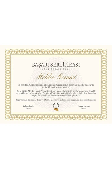Özcan Tasarım Kişiye Özel Sertifika - Mezuniyet Sertifikası - Başarı Sertifikası ( 10 Adet ) Gold Renk ürün görseli 1