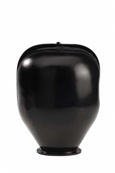 Hidrofor Genleşme Tank Membranı (Kulaklı, Siyah)  24L ürün görseli 1