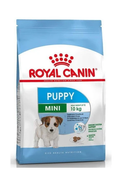 Mini Puppy 4 kg - Resim 4