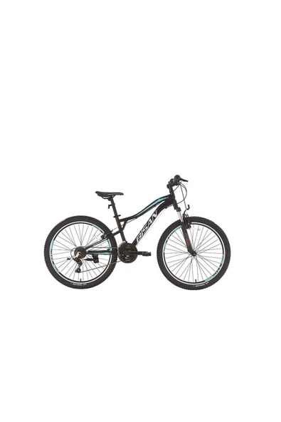 Bisan BUFFALO DAĞ BİSİKLETİ 37 CM V 27,5 JANT 21 VİTES MAT SİYAH MAVİ ürün görseli 1