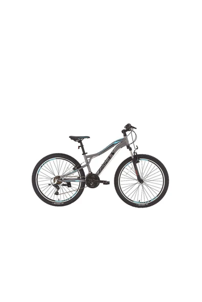 Bisan Bi̇san Buffalo Dağ Bi̇si̇kleti̇ 35 Cm V 26 Jant 21 Vi̇tes Füme Si̇yah Mavi̇ ürün görseli 1