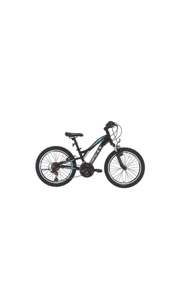 Bisan BİSAN BUFFALO ÇOCUK BİSİKLETİ 30 CM V 24 JANT 18 VİTES MAT SİYAH MAVİ ürün görseli 1