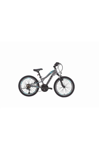 Bisan BİSAN BUFFALO ÇOCUK BİSİKLETİ 30 CM V 24 JANT 18 VİTES FÜME SİYAH MAVİ ürün görseli 1