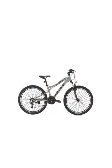 Bisan BİSAN BUFFALO DAĞ BİSİKLETİ 37 CM V 27,5 JANT 21 VİTES AÇIK GRİ SİYAH MAVİ ürün görseli 1