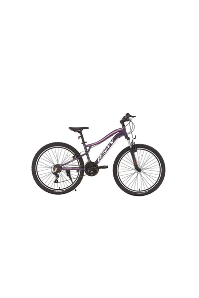 Bisan Gazelle Dağ Bisikleti 37 Cm V 27,5 Jant 21 Vites Metalik Mor Açık Pembe ürün görseli 1