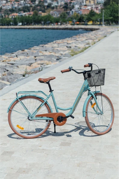 Bisan SORRENTO ŞEHİR BİSİKLETİ 44 CM V 28 JANT SHIMANO NEXUS 3 VİTES KONTRA FREN ÇAĞLA YEŞİLİ GOLD ürün görseli 1