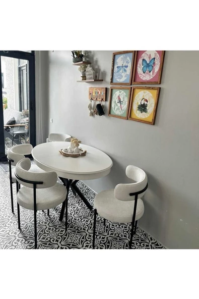Kaktüs Avm 4'lü Teddy Sandalye Mutfak Sandalyesi Salon Sandalyesi Cafe Restaurant Sandalyesi ürün görseli 1