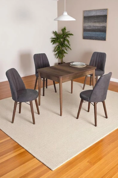 Kaktüs Avm 4 Kişilik Sabit Masa Sandalye Takımı 70x110 Cm Mutfak Masası Takımı Yemek Masası Masa Takımı ürün görseli 1