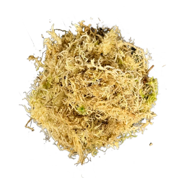 Sphagnum Yosunu 10 LT ürün görseli 1