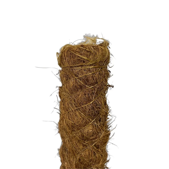 Yosun Bitki Destek Çubuğu (120 cm) ürün görseli 1