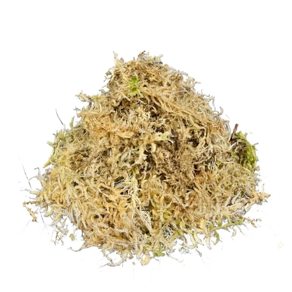 Sphagnum Yosunu 10 LT - Resim 2