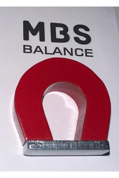 YYB U Mıknatıs Deney Ve Işı Eğitimi Malzemeleri D.m ürün görseli 1