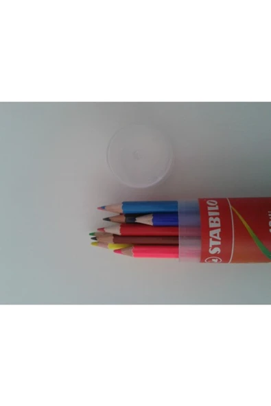 Stabilo Color 12 Li Plastik Tüp - Resim 2