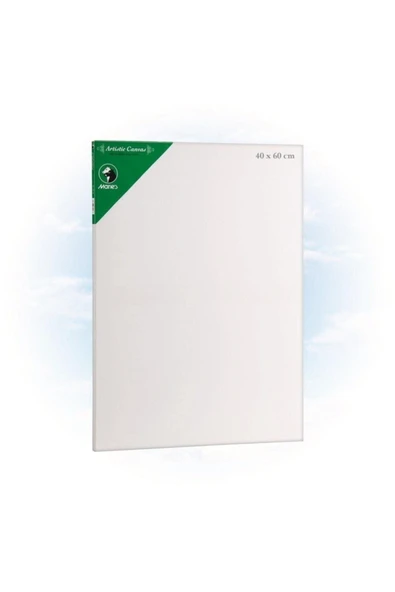 Maries Tuval 40x60 E5309 ürün görseli 1