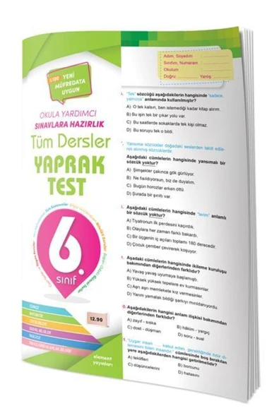 Nesil Yayınları Tüm Dersler Yaprak Test 6.sınıf /4 Element ürün görseli 1