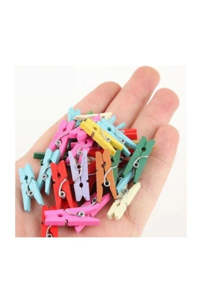 MEKAFİX 100 Adet Renkli Küçük 2,5cm Mandal, Ataç Fotoğraf Askısı Mandalı ürün görseli 1