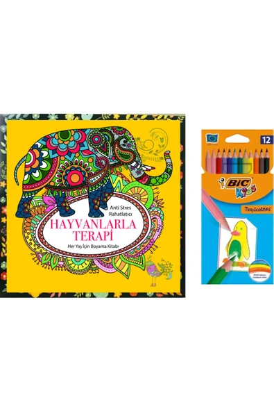 Bic Mandala Büyükler Için Boyama 12 Renk Kuru Boya Kalemi M.s ürün görseli 1
