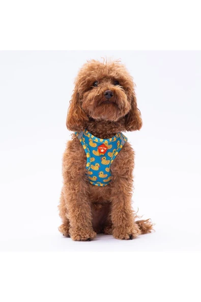Pawstar Ducks Air-mesh Göğüs Tasması Kedi Köpek Göğüs Tasması ürün görseli 1