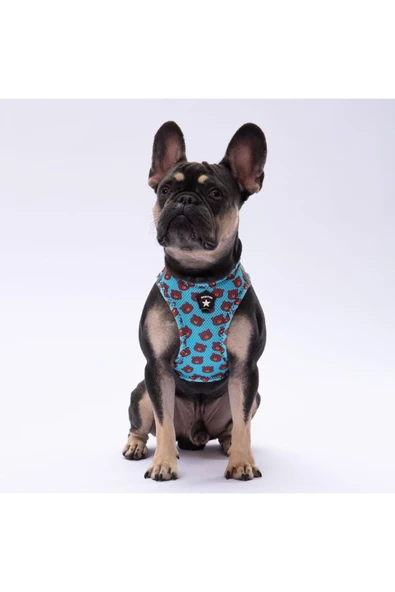 Pawstar Bears Air-mesh Göğüs Tasması Kedi Köpek Göğüs Tasması ürün görseli 1