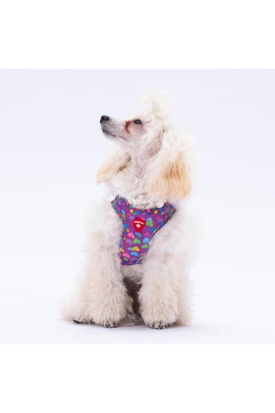 Pawstar Hearts Air-mesh Kedi Köpek Göğüs Tasması ürün görseli 1