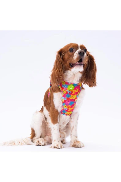 Pawstar Monsters Air-mesh Göğüs Tasması Kedi Köpek Göğüs Tasması ürün görseli 1