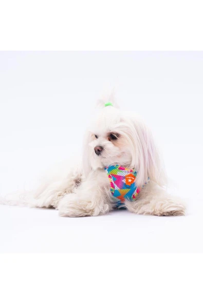 Pawstar Mosaic Air-mesh Göğüs Tasması Kedi Köpek Göğüs Tasması ürün görseli 1